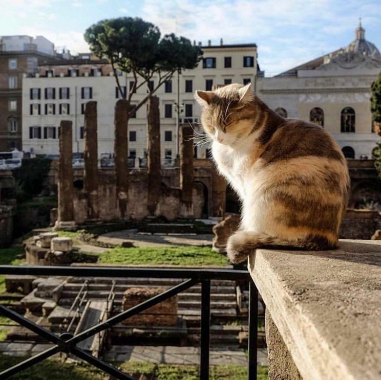 Ancient Roman Mansion Bagian luar foto